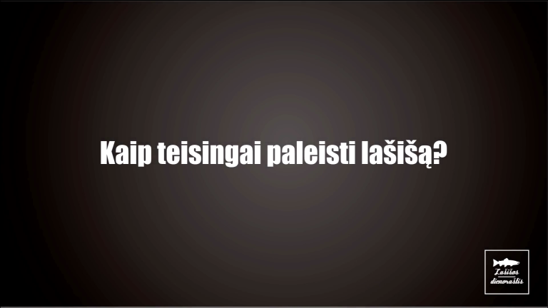 Kaip teisingai paleisti lašiša? // How to properly release salmon?