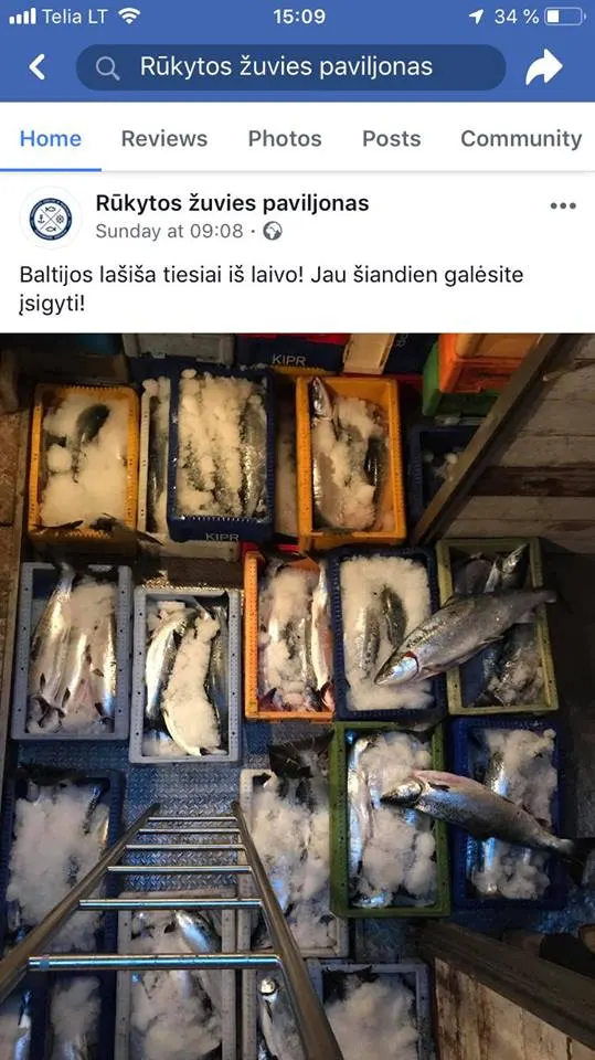 Štai kaip šiuo metu žvejai verslininkai legaliai naikina lašišas Baltijos jūroje …