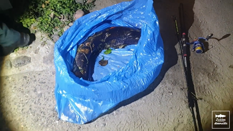 Sulaikyti Žeimenos brakonieriai‼️