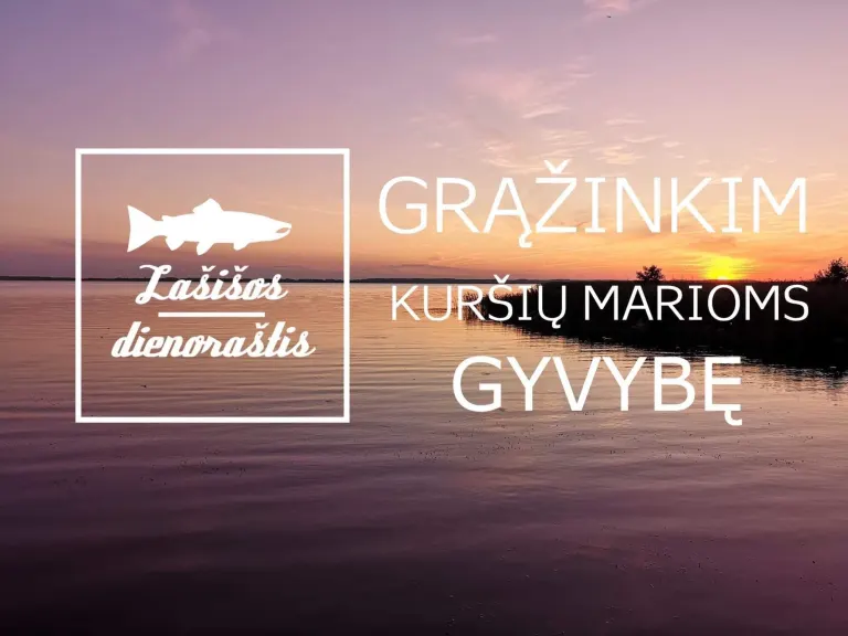 Grąžinkime Kuršių marioms gyvybę, uždrausdami verslinę žvejybą⛔📣❗