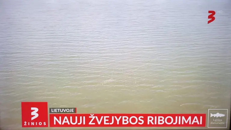 Tv3 reportažas apie tai kokia yra realybė.