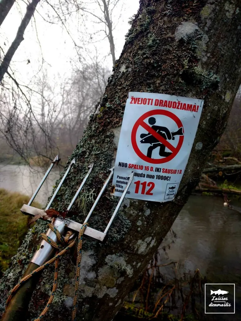 Seime siūloma keisti baudų dydžius už verslinės bei mėgėjų žūklės taisyklių pažeidimus 🐟🐟