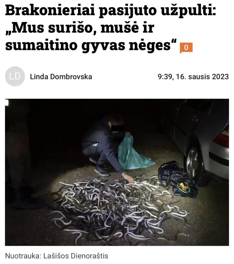 Tai ar šėrėme gyvas nėgės brakonieriams❓🪱