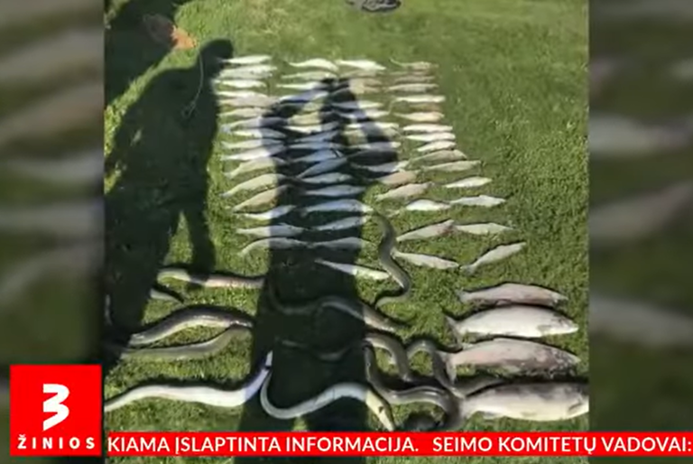 Sulaikyti žvejai verslininkai – brakonieriai!
