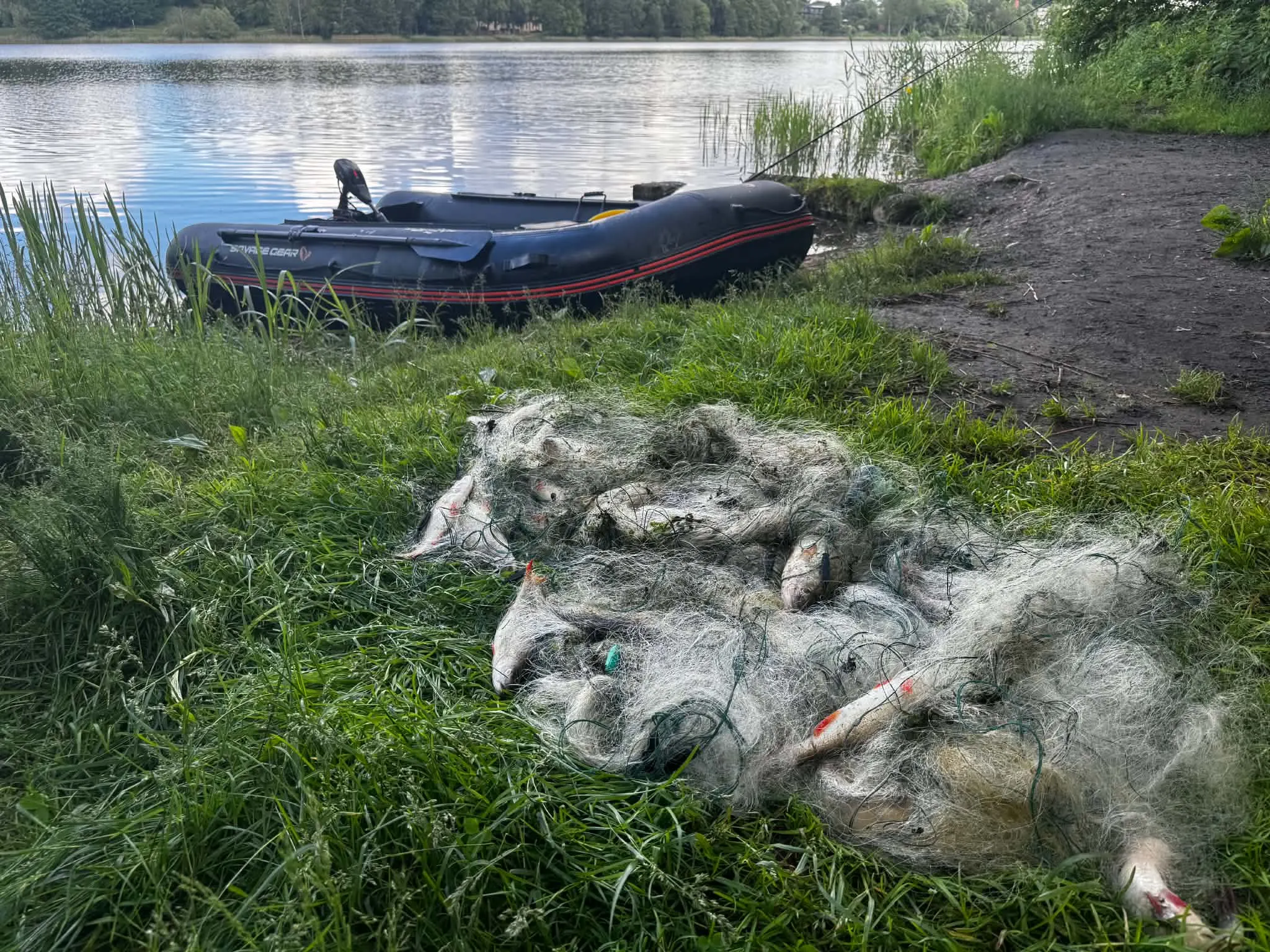 Brakonierių tinklai net Trakų centre!