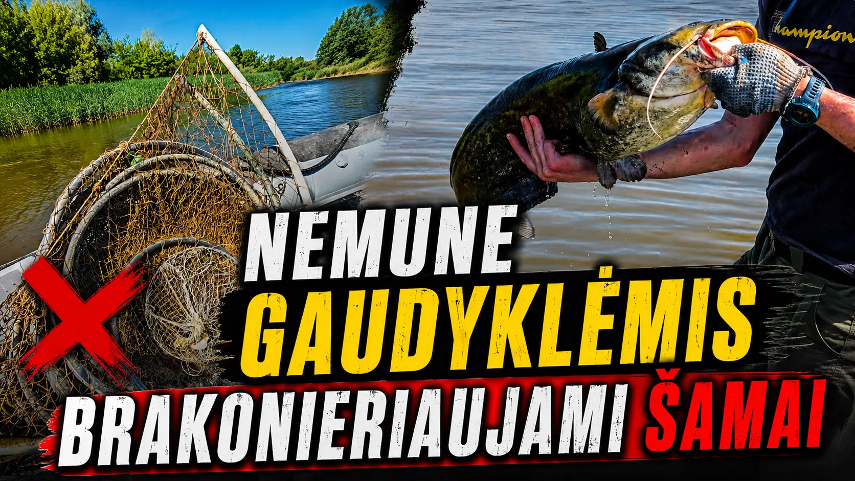 Štai taip brakonieriaujami šamai
