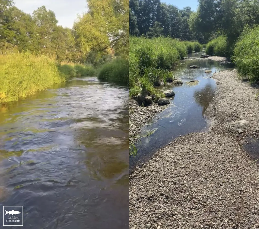 Upė su vandeniu ir išdžiūvusi žemiau užtvankos